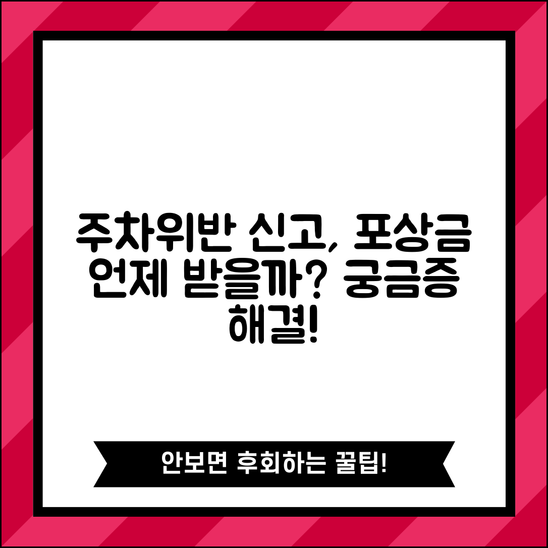 주차위반 신고 포상금 지급 시기 | 불법주차 신고 포상금 언제 받나