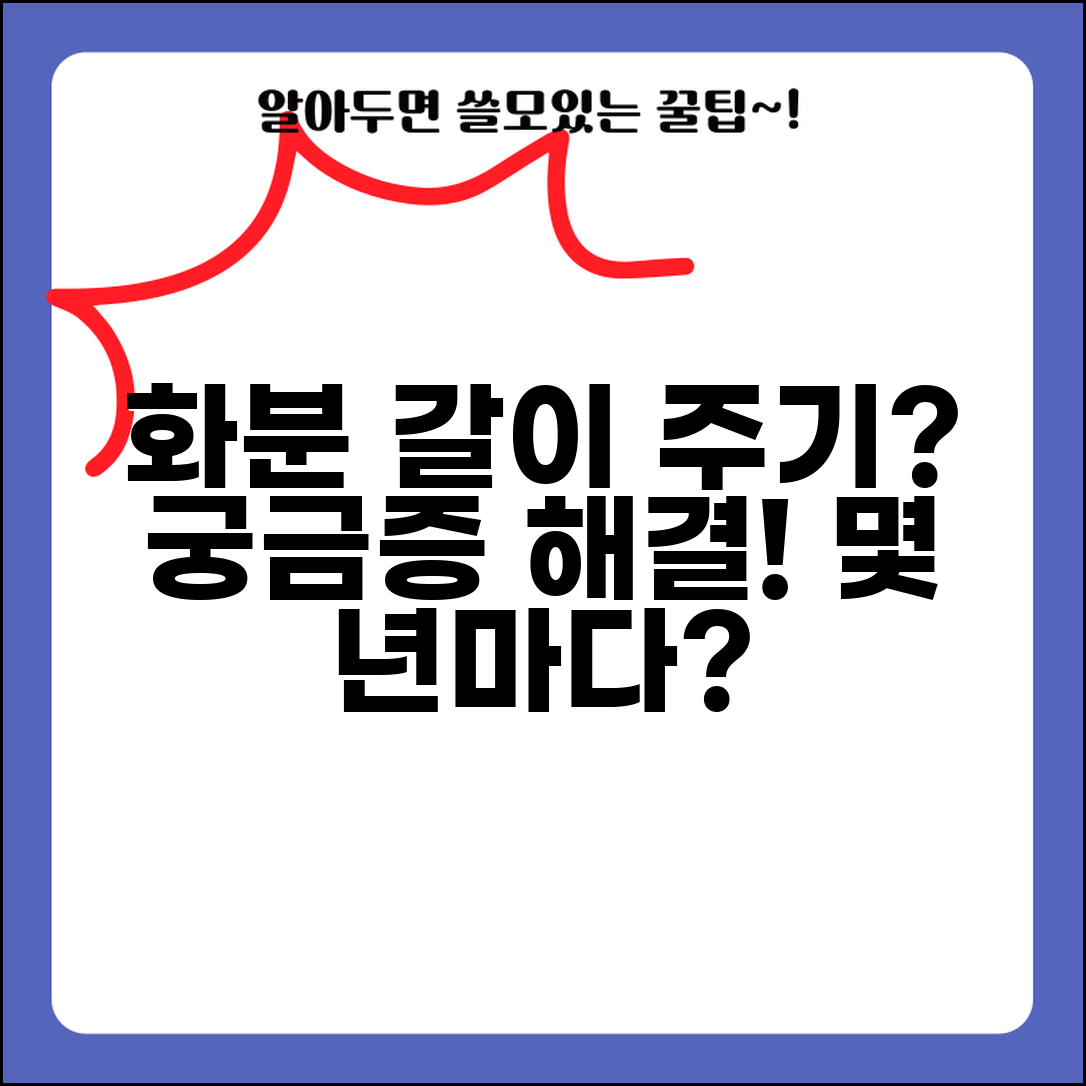 화분 분갈이 주기 몇 년마다 | 화분 갈이 시기와 주기