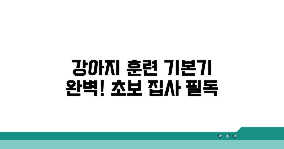 강아지 훈련 기본기 완벽 마스터